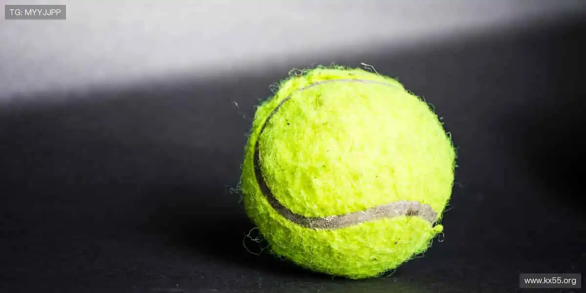 影视盛典，热情无限！🔥🎬